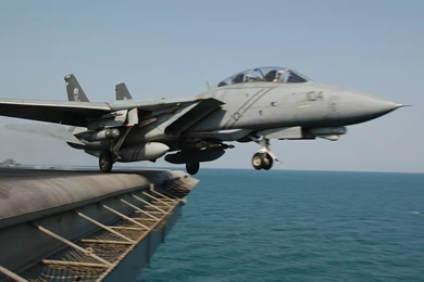 F 14 Tomcat Military Wallpapers (Page 1)