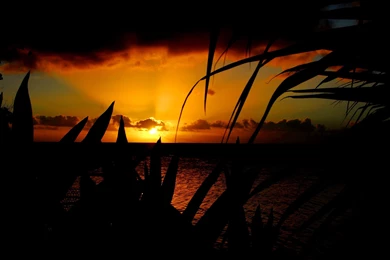 Winter Sunset South Pacific Style >> HD Wallpaper, Get It Now!