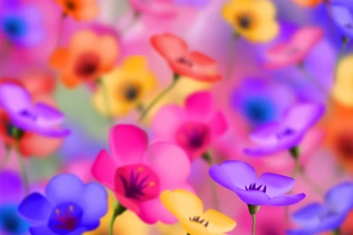 Yellow Flowers Sceneries Wallpapers Hd Size Wallpaper Backgrounds ...