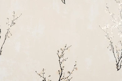 Zen Wallpapers In Ivory And Black Design By York Wallcoverings ...