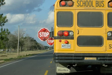 School Buses