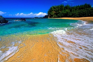 Nature Beach Photography 1024x768 Wallpapers Nature Beaches HD ...