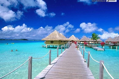 Beach Resort   Photo 285 Of 351