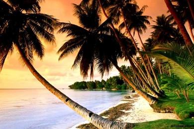 Nature Beach Wallpapers Hd