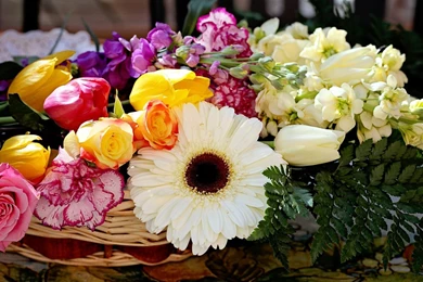 Most Beautiful Summer Flowers In Season