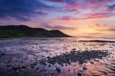 Free Wallpapers   Free Nature Wallpapers   Windows 8 Themes ...