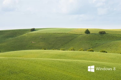 View Topic   Windows 8 Photoshop Wallpapers (Updated)   BetaArchive