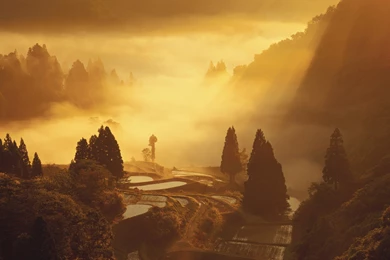 Fog, Windows, Wallpapers, Landscape, Yamakoshi, Japan, Prefecture ...