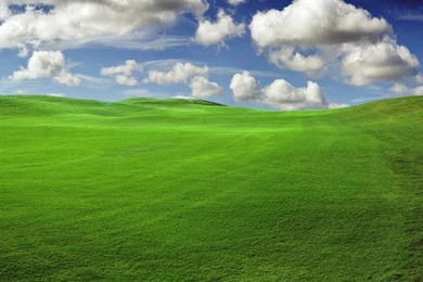 Windows Xp Wallpapers
