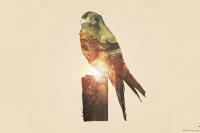 Graphic Design Desktop Wallpapers   Wallpapers Zone