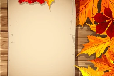 Autumn Elements And Gold Leaves Backgrounds Vector 01   Vectors ...