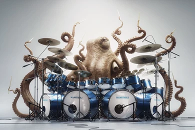 Digital Art, Humor, Creativity, Animals, Drums, Drummer, Playing ...