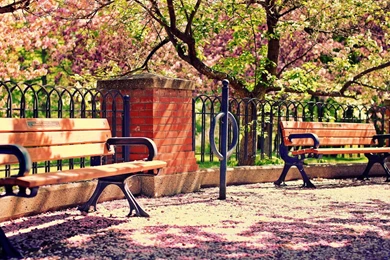 HD Wallpapers Nature Spring