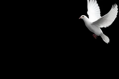 Wallpapers Powerpoint Church Backgrounds Background Images ...