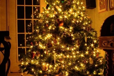 Christmas Mobile Wallpapers 2015   Grasscloth Wallpapers