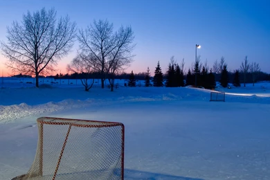 Blog/News   Photography By Darcy Michaelchuk