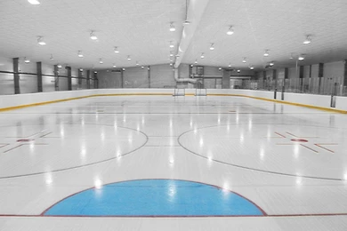 Ice hockeyrink