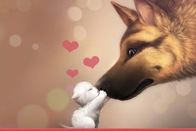 Download Love Cats Wallpapers 1920x1080