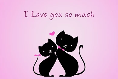 Kissing Cat Love Wallpapers Of Whatsapp Kissing Cat Love Wallpapers ...
