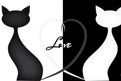 Cat Silhouette Love 1920x1080 Full HD Wallpapers