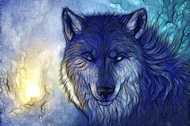 Wallpapers For Nookcolor