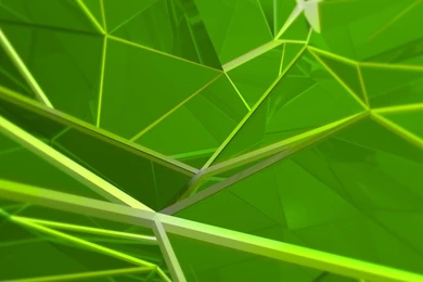 Spider Green Acer Iconia Tab A100 Wallpapers