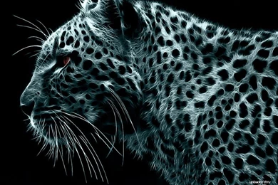 Nook Color Wallpapers   The Best Wallpapers For Your Barnes ...