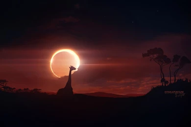 Clouds Sun Moon Eclipse Sunlight Skies Giraffe Wallpapers ...