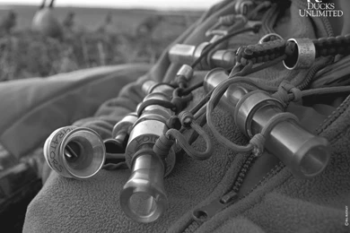 Waterfowl Quotes. QuotesGram