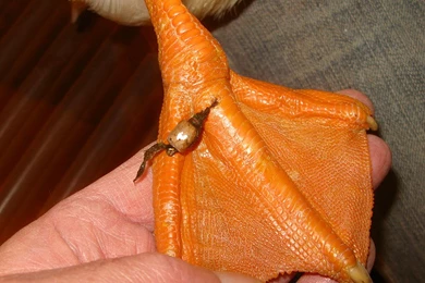 2013 » October Words4It