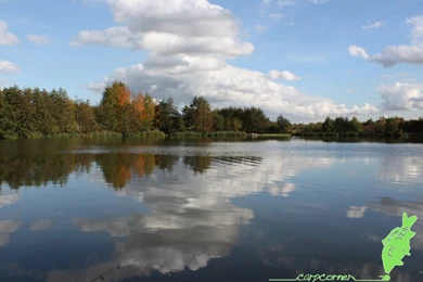 Carp Fishing Wallpapers, Carp Fishing Torrents And Carp Fishing ...