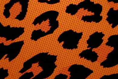 Iphone Wallpapers Tumblr Cool B1X » WALLPAPERUN.COM