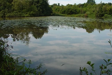 CarpForum   The UK Carp Fishing Forum. Information, Chat And ...