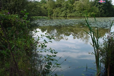 CarpForum   The UK Carp Fishing Forum. Information, Chat And ...