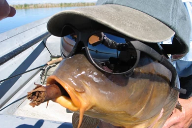 Catfish Fishing Wallpaper Images