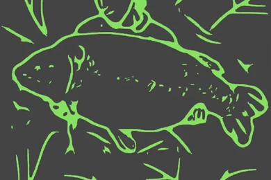 Torrents,_点力图库