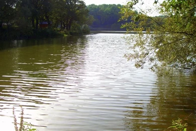 Wallpapers Carpfishing Source Http In France Gallery Carp Fishing ...