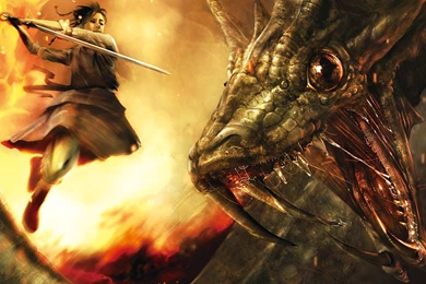Dragon Slayer, Warrior, Sword, Fantasy, 1920x1080 HD Wallpapers And ...