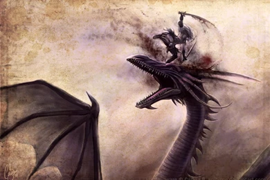 Dragon_slayer_by_anihime d3dc89t.jpg