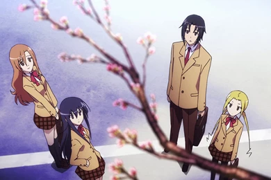 Looking At A Cherry Blossom Tree?   Seitokai Yakuindomo Photo ...