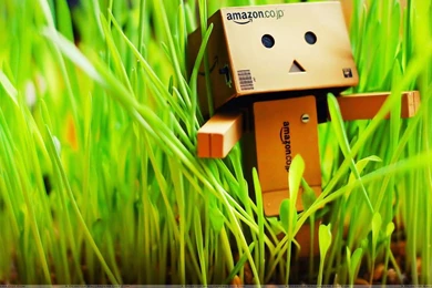 Amazon Box In Grass Wallpapers