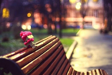 Bench Danboard Amazon Hdr Photography 1920x1200 Wallpapers ...