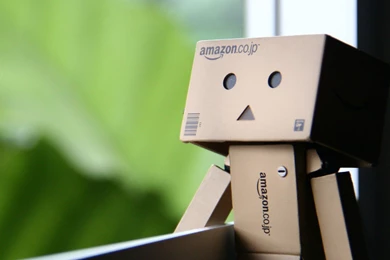 Boy Yellow Little Danboard Danbo Box Amazon