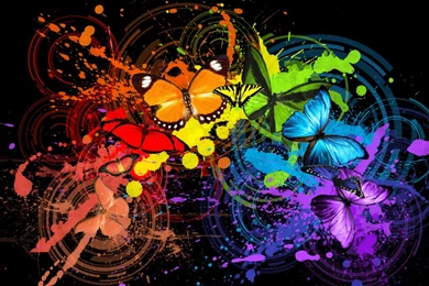 Colour Butterfly Wallpapers