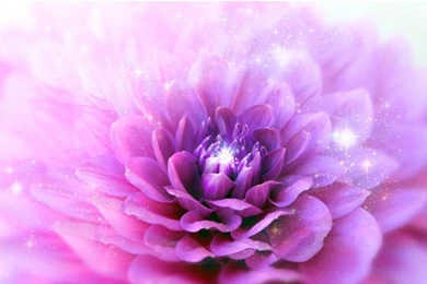 Colors To Heal Your Body Now: A Guide To Your Chakra Energy ...