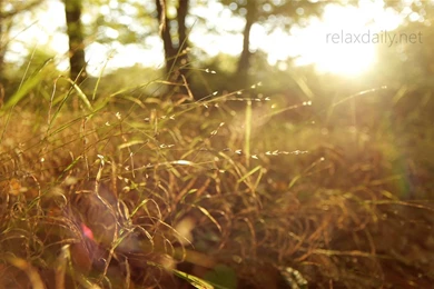 Beautiful Slow Instrumental    Music For Studying, Backgrounds ...