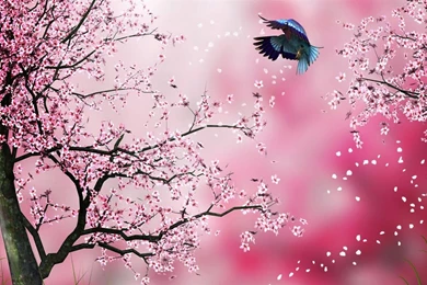 MaDonna's Themes And Wallpapers: New Backgrounds