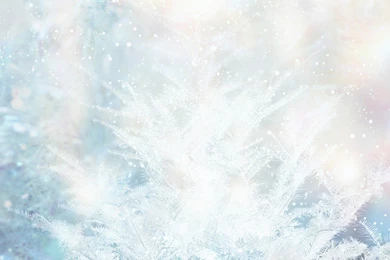 White Christmas   Christmas Ornaments & Decorations 1280x800 NO.57 ...