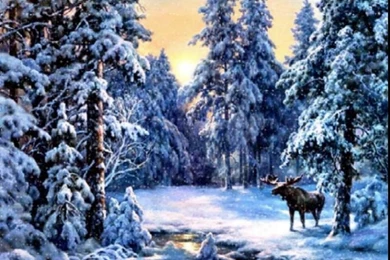 White Christmas (2008)   Christmas Wallpapers (2908155)   Fanpop