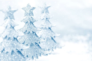 White Christmas Snow 1920x1200px